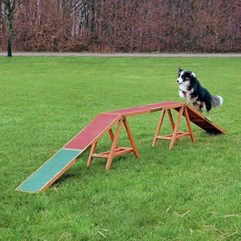 Amazon | オールフォーワンズライフ 犬用 アジリティグッズ